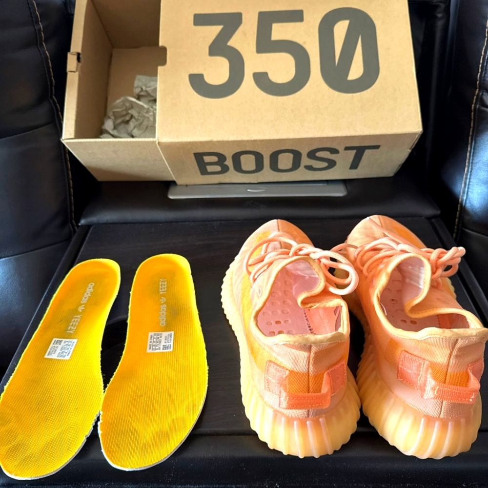 Adidas Yeezy Boost 350 V2 ' Mono Clay’ GW2870 With Box EUC